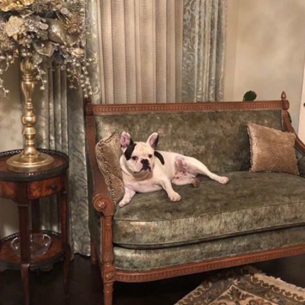 Meet your Posher, Lisa